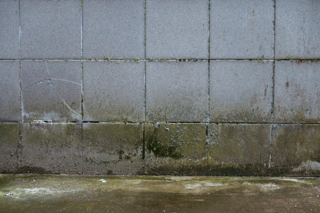Concrete wall with moss and dirt stains near the bottom and a cracked tile on the left side.